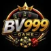 BV999 Game