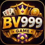 BV999